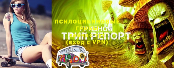 ПСИЛОЦИБИНОВЫЕ ГРИБЫ Армянск