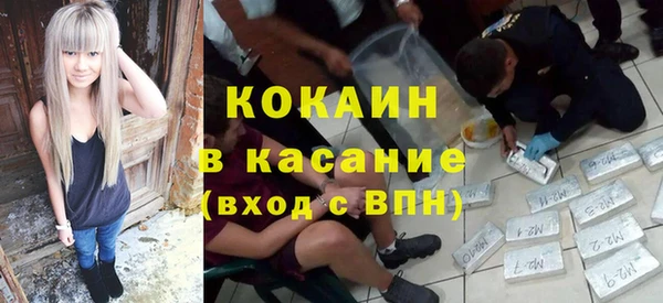 ГАЛЛЮЦИНОГЕННЫЕ ГРИБЫ Аркадак