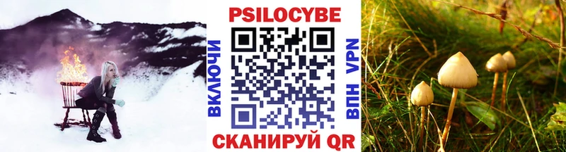 что такое Туринск Псилоцибиновые грибы MAGIC MUSHROOMS